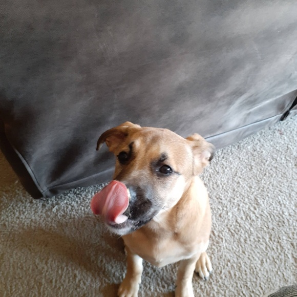 Meet your Posher, Tiffany - Picture 1 of 1